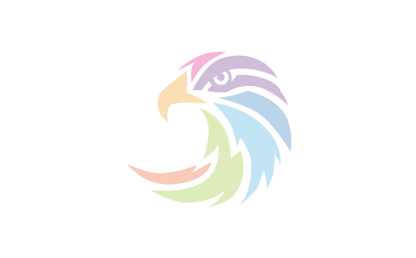 Orły Sporty - Fundacja